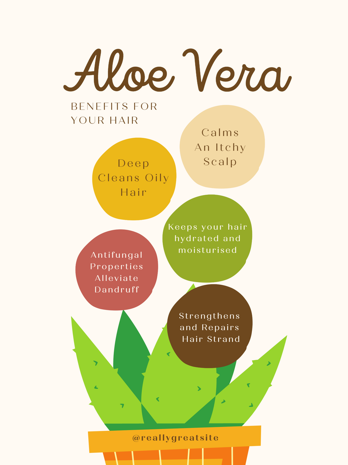 Aloe Vera Drink